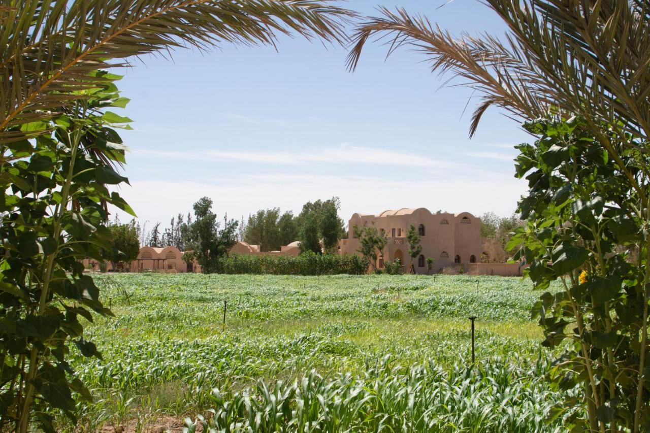 Bahariya Oasis Tzila Bahariyaヴィラ エクステリア 写真